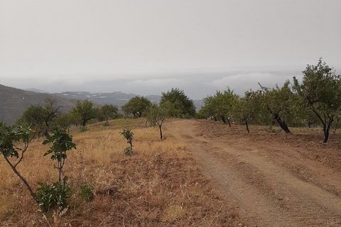 Landsbyhus i Albunol, Granada, Albunol - € 325.000 | Ref: CJ318 - foto 21